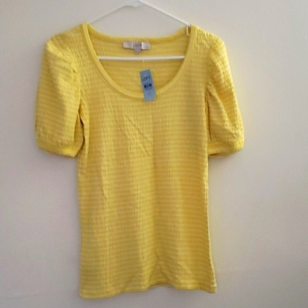Small Petite Loft Shirt
